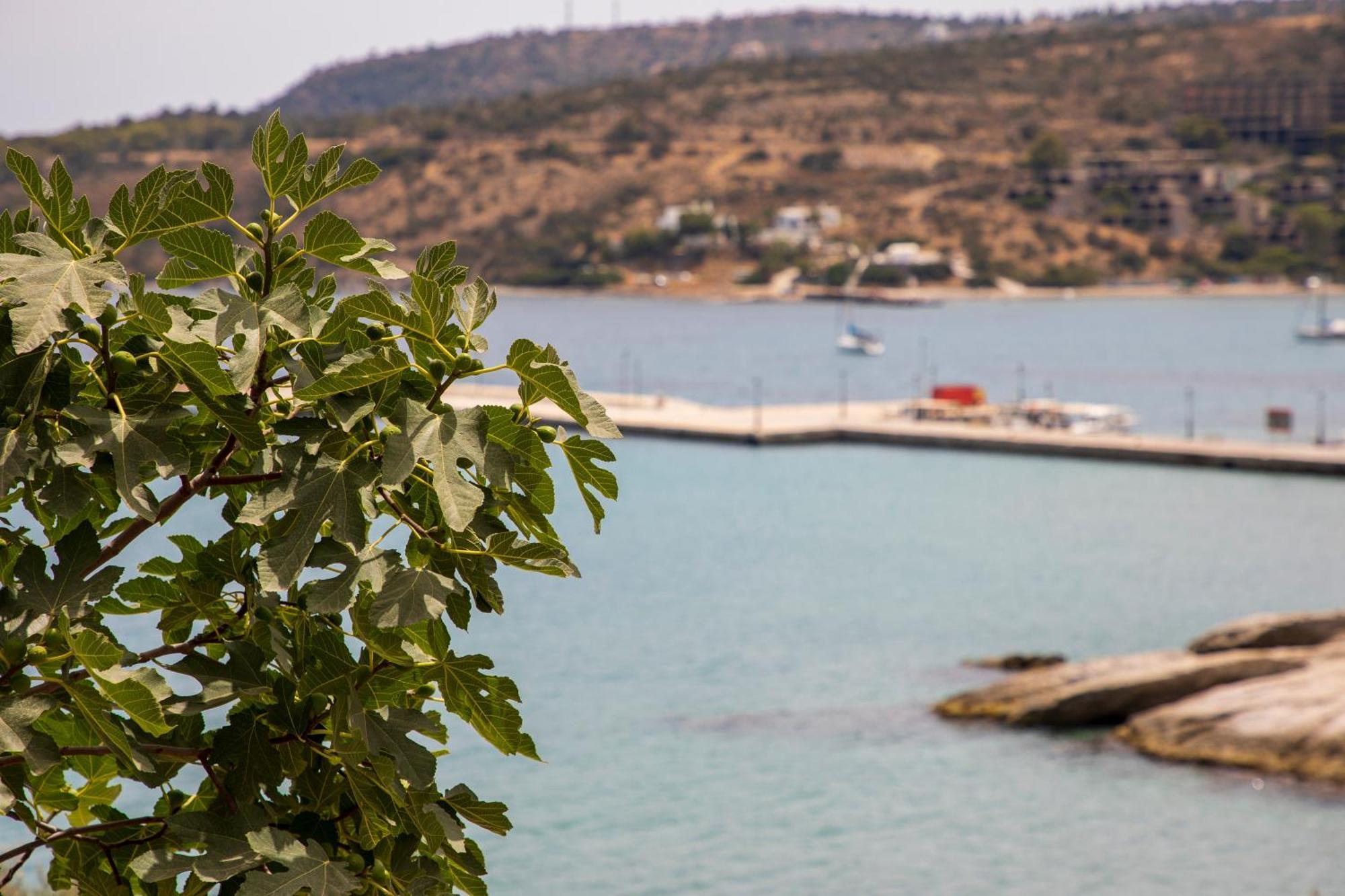 Sea La Vie Villa Ajía Marína Kültér fotó